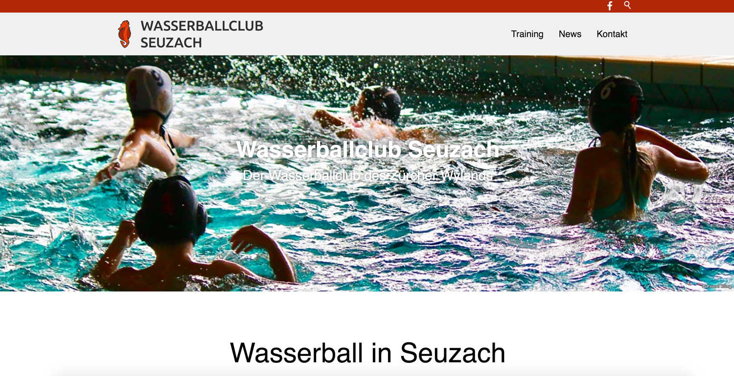 Bild Screendesign für den Wasserballclub Seuzach
